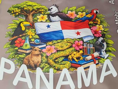 Resultado textil Panamá